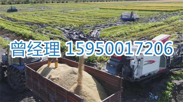 苏州到阿勒泰物流专线-苏州到阿勒泰货运专线-苏州直达阿勒泰物流